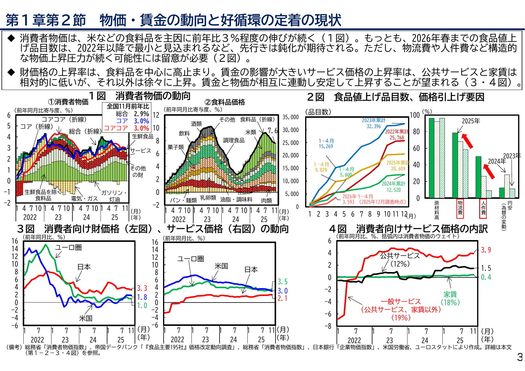 2025年度 日本経済レポート（説明資料）