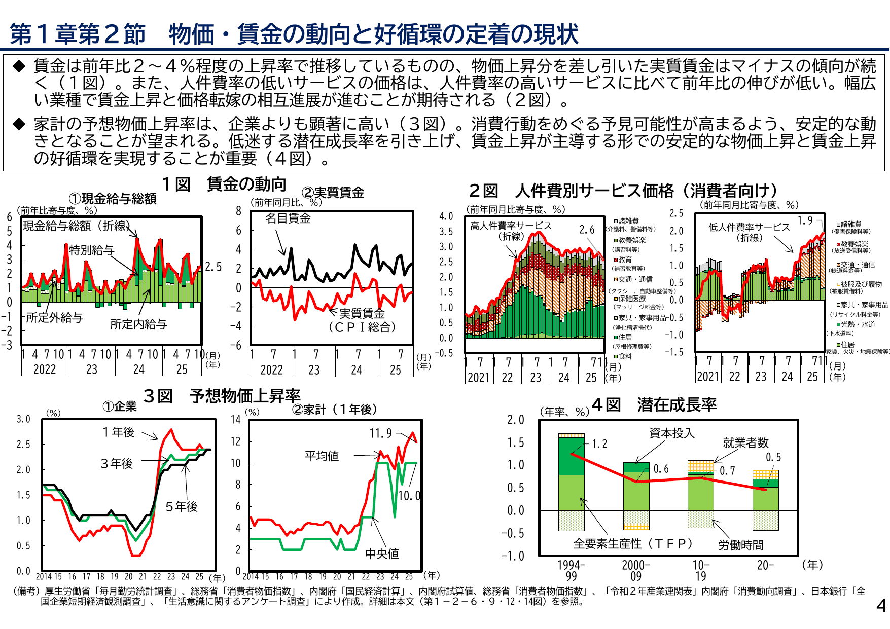 2025年度 日本経済レポート（説明資料）