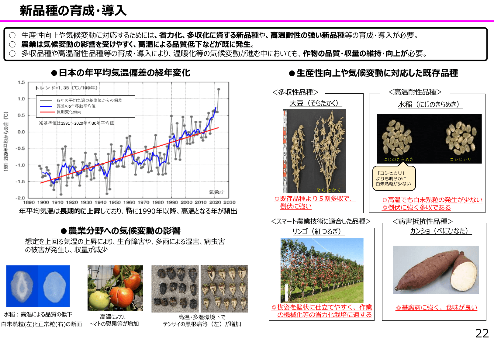 食料安全保障をめぐる情勢
