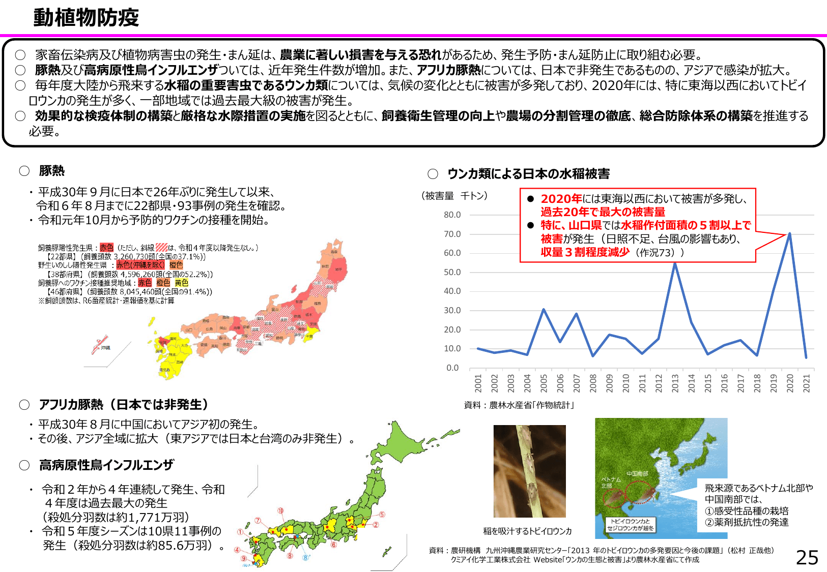食料安全保障をめぐる情勢